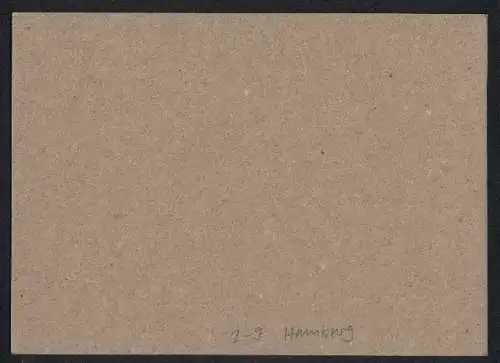 Briefmarken Hamburg, Marken der Private Stadtbriefbeförderung Hansa, Private Stadtpost