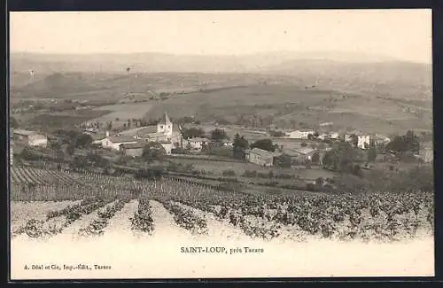 AK Saint-Loup, Vue du village et vignobles environnants près de Tarare