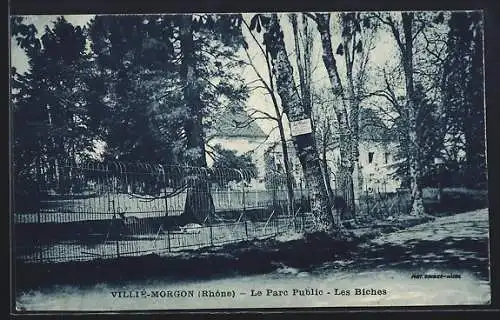 AK Villié-Morgon, Le Parc Public, Les Biches