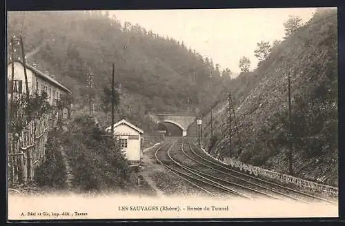 AK Les Sauvages, Entrée du tunnel ferroviaire dans le paysage forestier