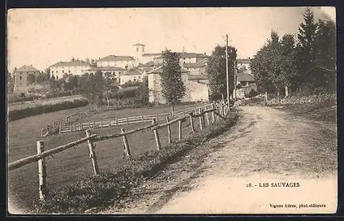 AK Les Sauvages, Vue du village avec chemin bordé de clôtures