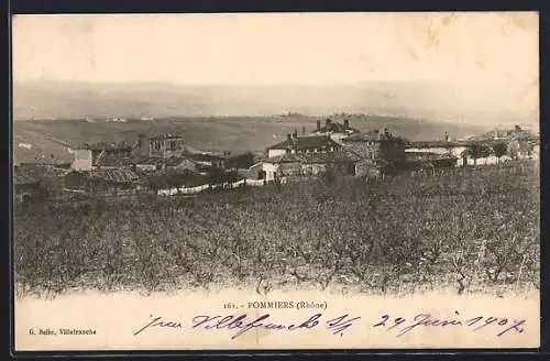 AK Pommiers, Vue du village et des vignobles