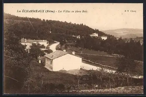 AK Écharmeaux, Les Villas en plein Bois