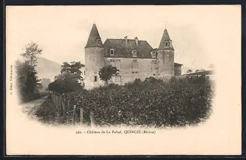 AK Quincié, Château de La Palud et vignobles adjacents