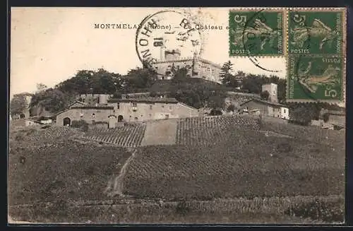 AK Montmelas, Vue du château et des vignobles environnants