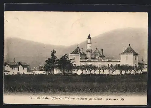 AK Condrieu, Château du Rozay au levant