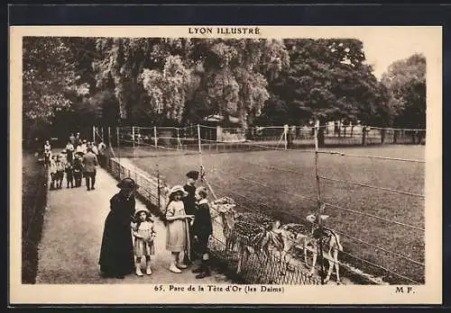 AK Lyon, Parc de la Tête d`Or (les Daims)