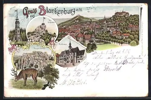 Lithographie Blankenburg / Harz, Rathaus, Regensteine, Kaiserwarte, Ortsansicht