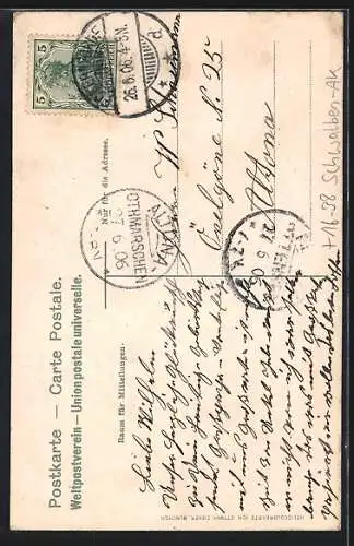 AK Eckernförde, Totalansicht aus der Vogelschau, Schwalbe