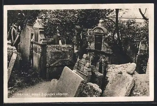 AK Praha, Stary Zidovsky Hrbitov - Synagoge