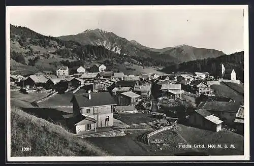 AK Feldis /Grbd., Teilansicht mit Bergen