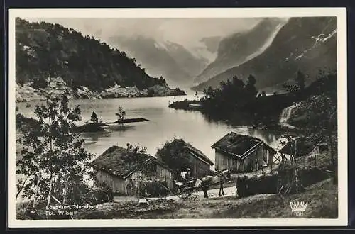 AK Loenvann, Nordfjord, Häuser am Fjord