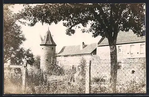 Foto-AK Mainbernheim, Gartenanlagen an der Stadtmauer