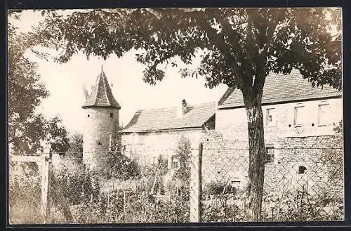 Foto-AK Mainbernheim, Gartenanlagen an der Stadtmauer