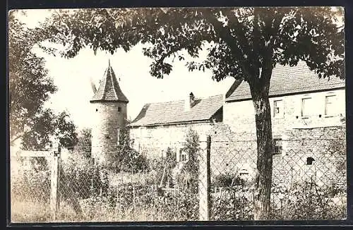 Foto-AK Mainbernheim, Gartenanlagen an der Stadtmauer