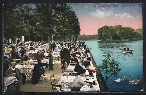 AK Bad-Nauheim, Teichhausterrasse mit Cafe