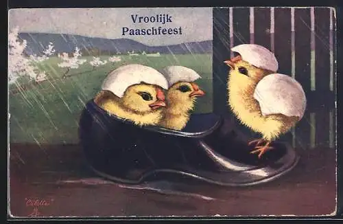 AK Osterküken in einem Schuh, Vroolijk Paaschfeest