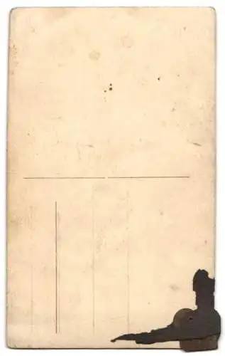 10 Fotografien Ansicht Wien, Gasthäuser, Kneipen, Geschäfts - & Wohnhäuser, Wiener Typen, Strassenansicht, Fassaden u.a.