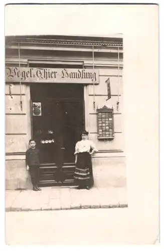 10 Fotografien Ansicht Wien, Gasthäuser, Kneipen, Geschäfts - & Wohnhäuser, Wiener Typen, Strassenansicht, Fassaden u.a.