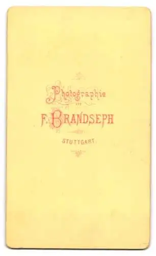 Fotografie F. Brandseph, Stuttgart, Kind auf Stuhl mit Stock