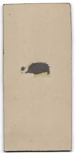 Fotografie W. Lenz, Neukölln, Hermannstrasse 211, Porträt eines kleinen Kindes