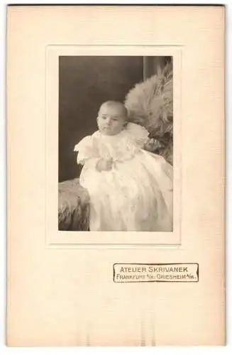 Fotografie Atelier Skrivanek, Frankfurt am Main, Griesheim, Porträt eines Babys