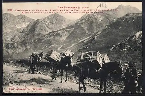 AK Les Pyrenees, transportation a dos de muletsen haute monagne, Maultiere