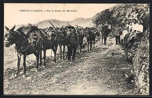 AK Amélie-les-Bains, Route de Montalba, Arbeiter mit beladenen Maultieren