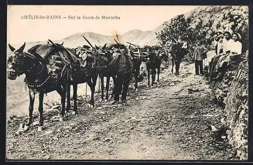 AK Amelie-les-Bains, sur la Route de Montalba