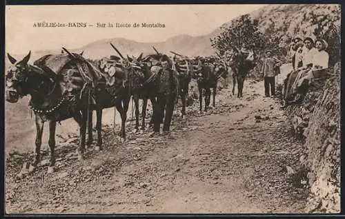 AK Amélie-les-Bains, Route de Montalba, Arbeiter mit beladenen Maultieren in den Bergen