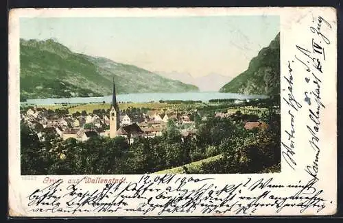 AK Wallenstadt, Teilansicht mit Bergen