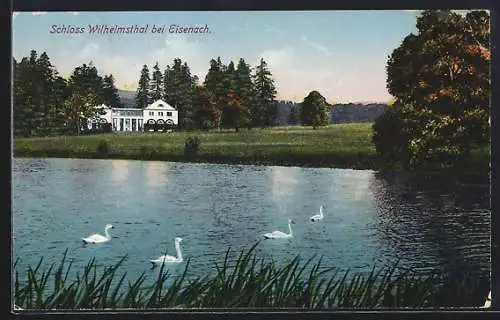 AK Eisenach, Blick auf Schloss Wilhelmsthal