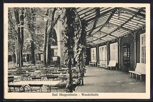 AK Bad Mergentheim, Garten-Cafe an der Wandelhalle