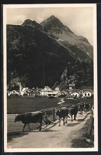 AK Silvaplana, Ortsblick mit Kuhherde und Piz Polaschin