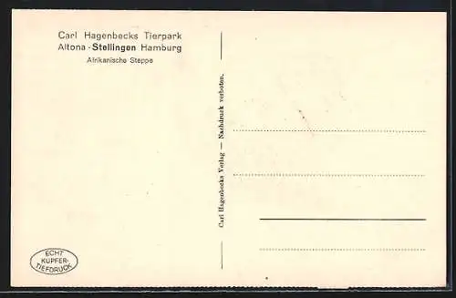 AK Hamburg, Carl Hagenbeck`s Tierpark, Afrikanische Steppe