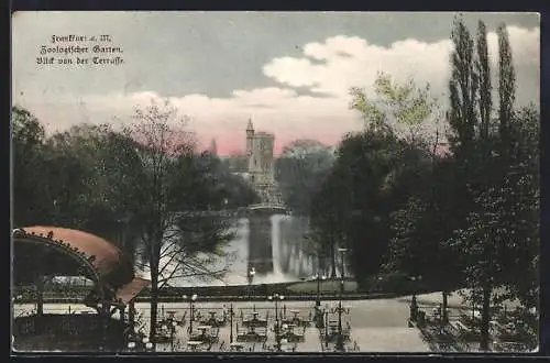 AK Frankfurt-Ostend, Zoologischer Garten, Blick von der Terrasse
