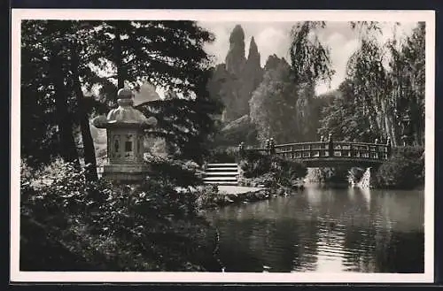 AK Hamburg-Stellingen, Carl Hagenbeck`s Tierpark, Japanische Insel