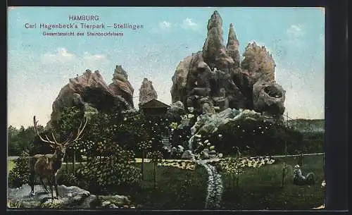 AK Hamburg-Stellingen, Carl Hagenbeck's Tierpark, Steinbockfelsen