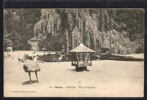 AK Nancy, Pépinière, Parc Zoologique