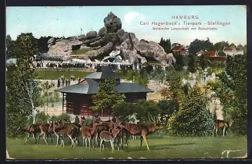 AK Hamburg-Stellingen, Carl Hagenbeck`s Tierpark, Nordische Landschaft mit Rutschbahn