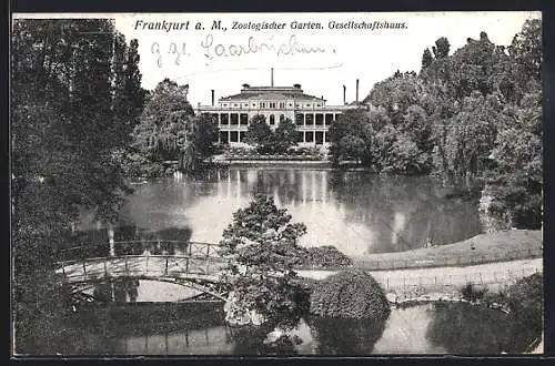 AK Frankfurt am Main, Zoologischer Garten, Blick über den Teich zum Zoo-Gesellschaftshaus