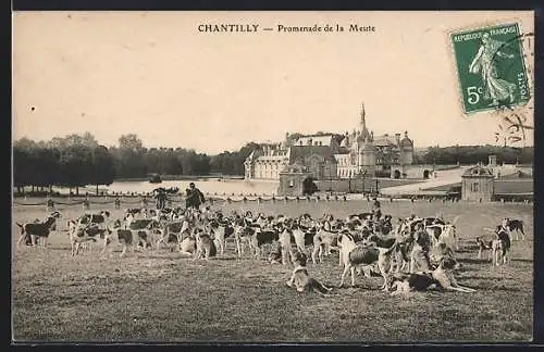 AK Chantilly, Promenade de la Meute