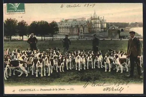 AK Chantilly, Promenade de la Meute, Jagdgesellschaft mit Hunden