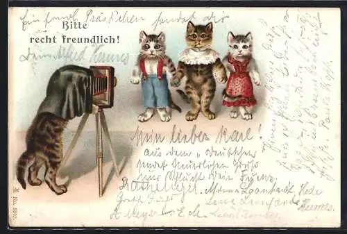 AK Katze mit Fotoapparat macht Bilder von Katzenfamilie