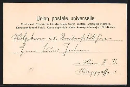 Lithographie General Joubert, Kommandant im Burenkrieg