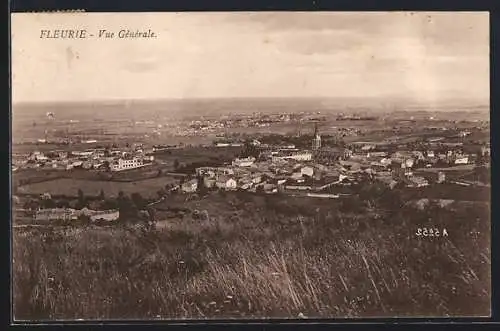 AK Fleurie, Vue Générale