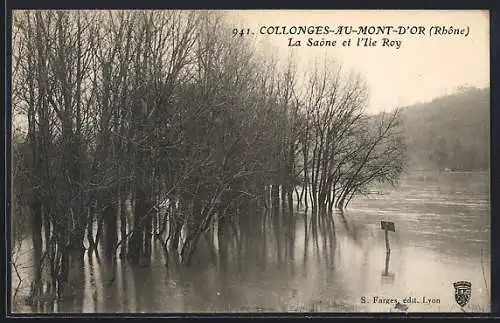 AK Collonges-au-Mont-d`Or, La Saône et l`île Roy