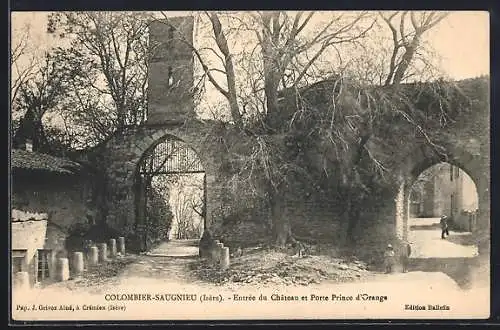 AK Colombier-Saugnieu, Entrée du Château et Porte Prince d`Orange