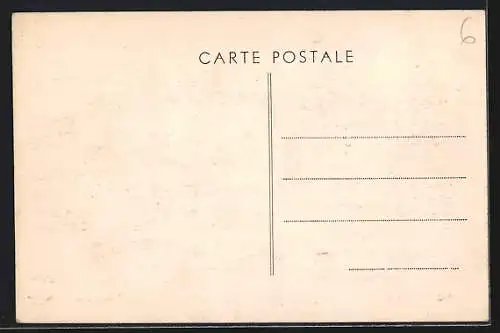 AK Cublize, Vue générale