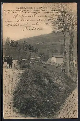 AK Sainte-Catherine-sur-Riverie, Vue pittoresque avec troupeaux et paysage rural